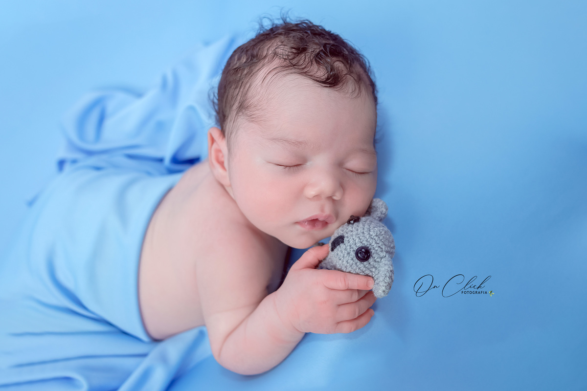 Newborn do Isaque - Newborn Caraguatatuba - Home Estúdio On Click Fotografia - Newborn Caraguatatuba