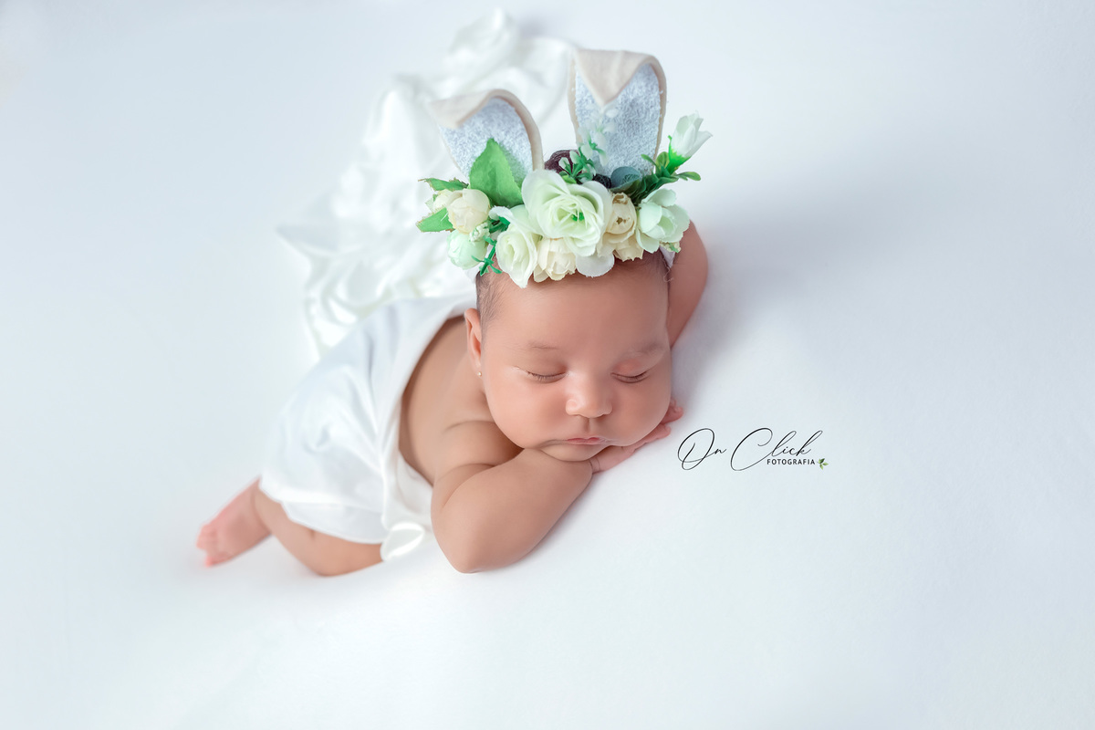 Newborn do Livia - Newborn Caraguatatuba - Home Estúdio On Click Fotografia - Newborn Caraguatatuba