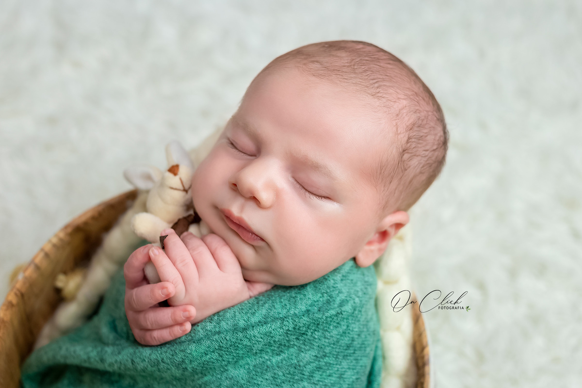 Newborn do Derek - Newborn Paraty/RJ - Home Estúdio On Click Fotografia - Newborn Paraty