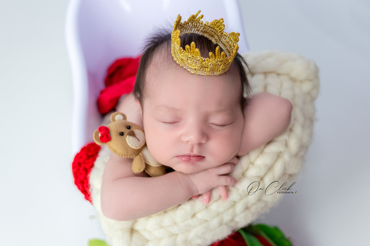 Newborn do Ester - Newborn Caraguatatuba - Home Estúdio On Click Fotografia - Newborn Caraguatatuba