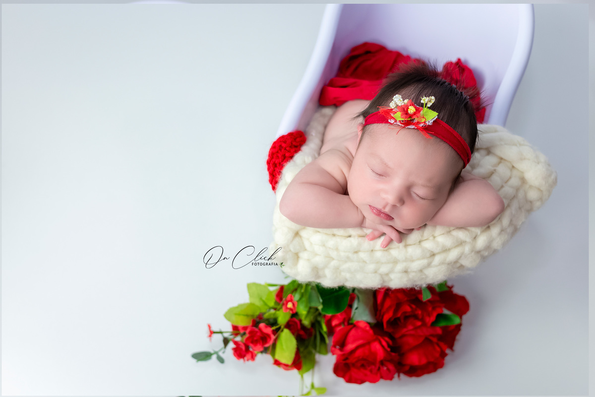 Newborn do Ester - Newborn Caraguatatuba - Home Estúdio On Click Fotografia - Newborn Caraguatatuba