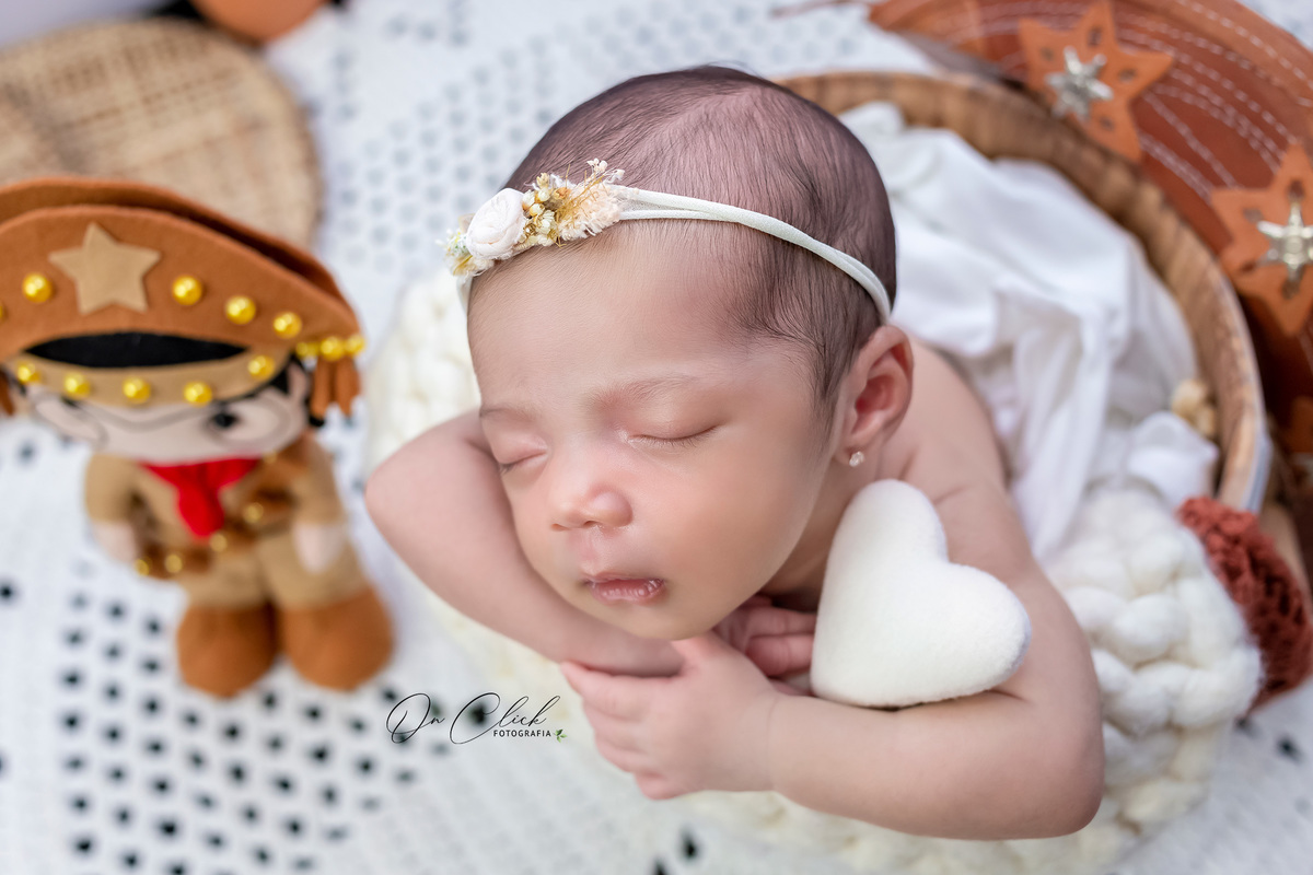 Newborn do Ayla Louise - Newborn Caraguatatuba - Home Estúdio On Click Fotografia - Newborn Caraguatatuba