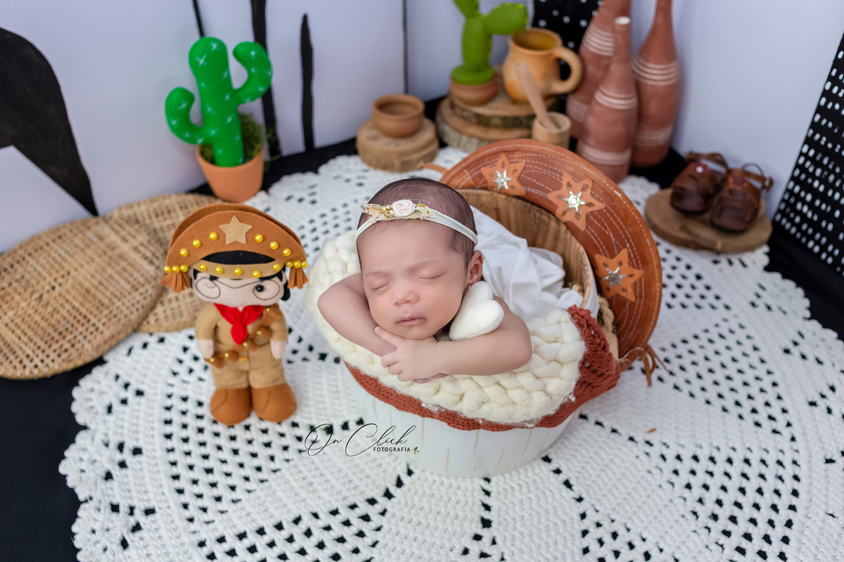 Newborn do Ayla Louise - Newborn Caraguatatuba - Home Estúdio On Click Fotografia - Newborn Caraguatatuba