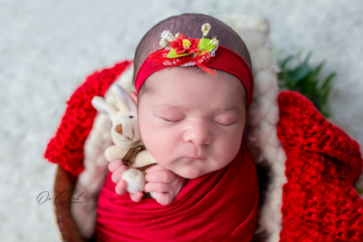 Newborn da Maria Clara - Newborn Caraguatatuba - Home Estúdio On Click Fotografia - Newborn Caraguatatuba