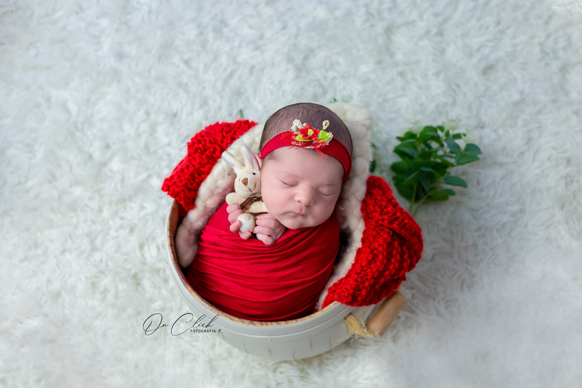 Newborn da Maria Clara - Newborn Caraguatatuba - Home Estúdio On Click Fotografia - Newborn Caraguatatuba