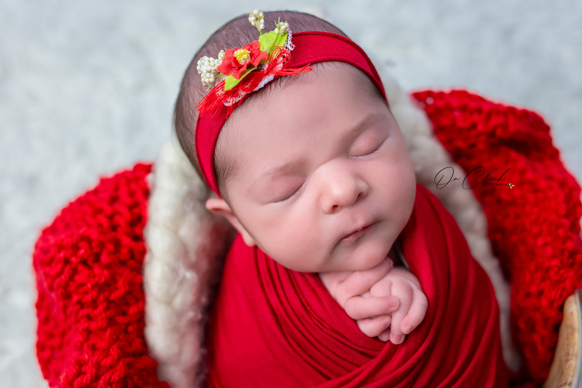 Newborn da Maria Clara - Newborn Caraguatatuba - Home Estúdio On Click Fotografia - Newborn Caraguatatuba