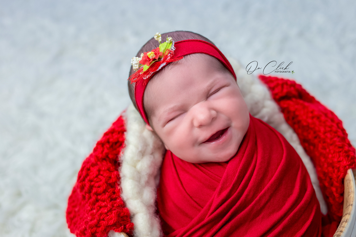 Newborn da Maria Clara - Newborn Caraguatatuba - Home Estúdio On Click Fotografia - Newborn Caraguatatuba