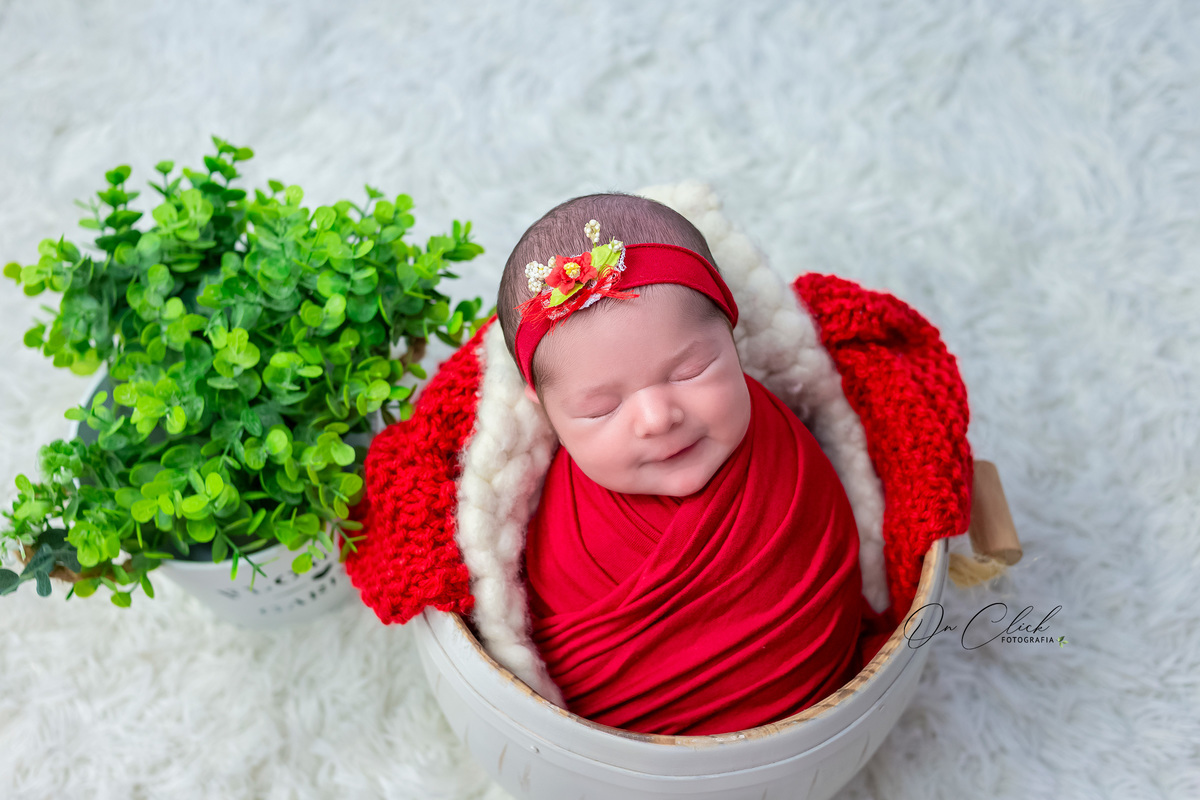Newborn da Maria Clara - Newborn Caraguatatuba - Home Estúdio On Click Fotografia - Newborn Caraguatatuba
