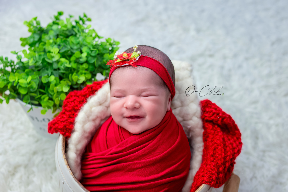 Newborn da Maria Clara - Newborn Caraguatatuba - Home Estúdio On Click Fotografia - Newborn Caraguatatuba