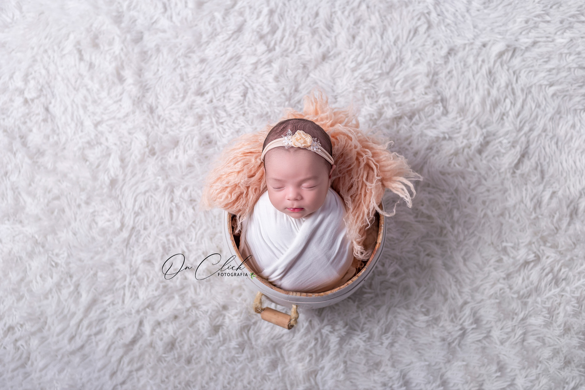 Newborn da Giovanna - Newborn Caraguatatuba - Home Estúdio On Click Fotografia - Newborn Caraguatatuba