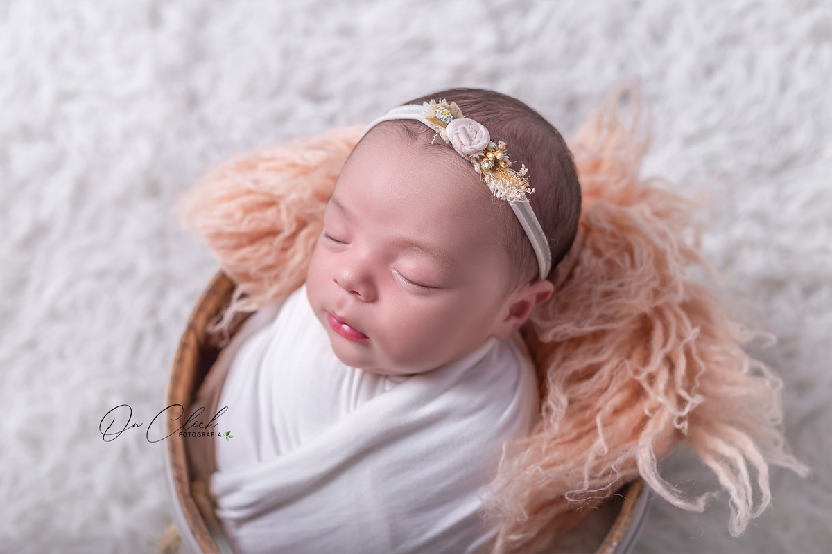 Newborn da Giovanna - Newborn Caraguatatuba - Home Estúdio On Click Fotografia - Newborn Caraguatatuba