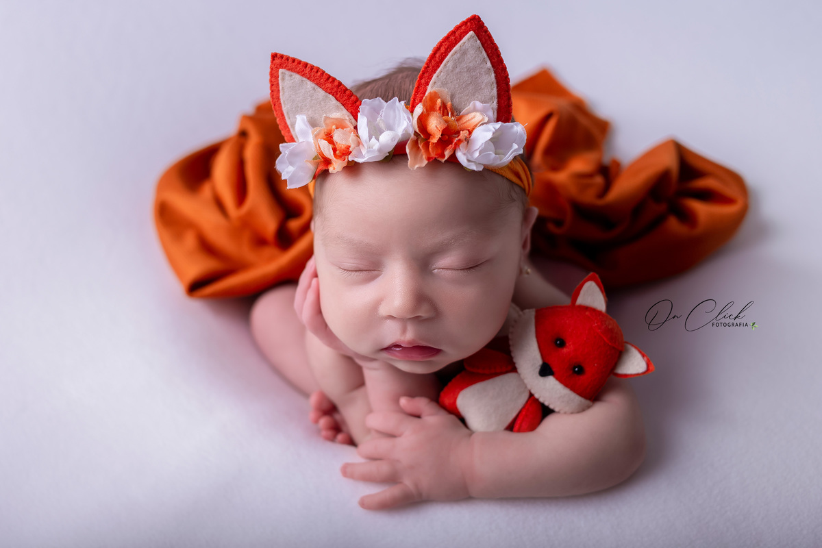 Newborn da Sarah - Pose do sapinho - headband raposa - Newborn Caraguatatuba - Home Estúdio On Click Fotografia