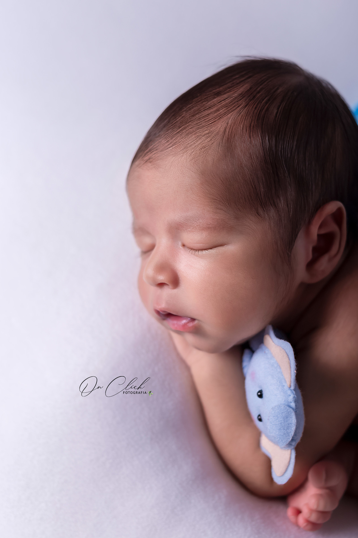 Ensaio newborn - Newborn Caraguatatuba - Pose no bracinho na cor azul bebê com bichinho no braço - Newborn do José Luiz - Home Estúdio On Click Fotografia