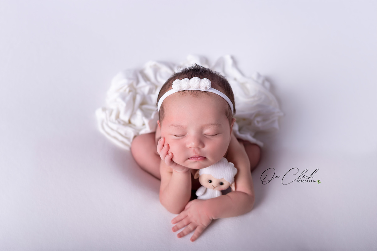 Newborn da Clara Kammer - Pose do sapinho - Newborn Caraguatatuba - Home Estúdio On Click Fotografia