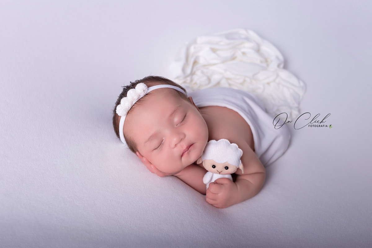 Newborn da Clara Kammer - Pose soneca - Newborn Caraguatatuba - Home Estúdio On Click Fotografia