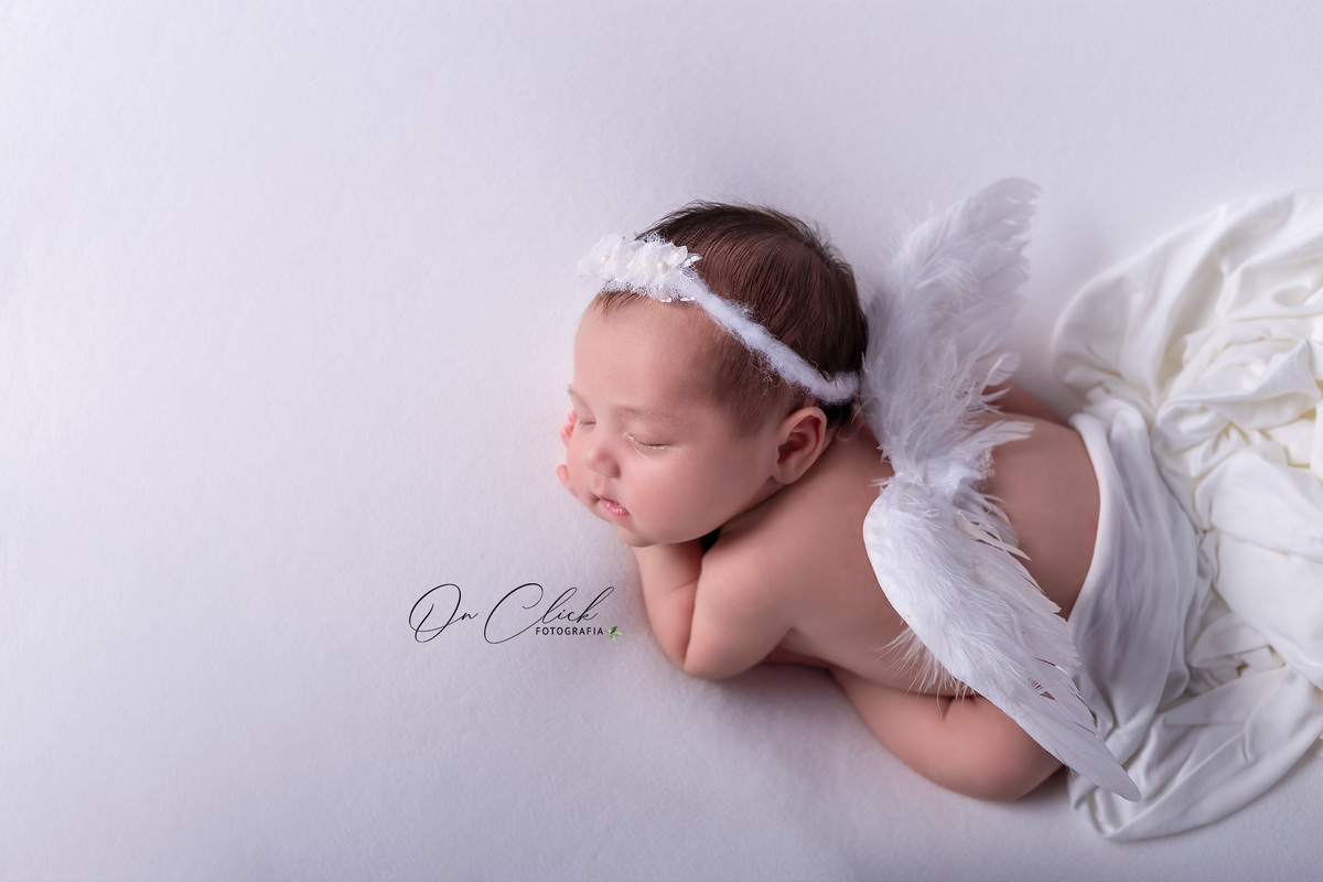 Newborn da Clara Kammer - Pose do anjinho - Newborn Caraguatatuba - Home Estúdio On Click Fotografia