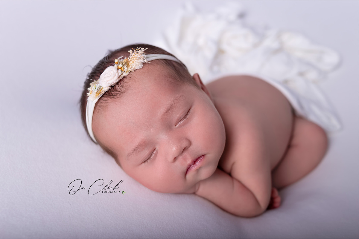 Newborn da Clara Kammer - Pose soneca - Newborn Caraguatatuba - Home Estúdio On Click Fotografia