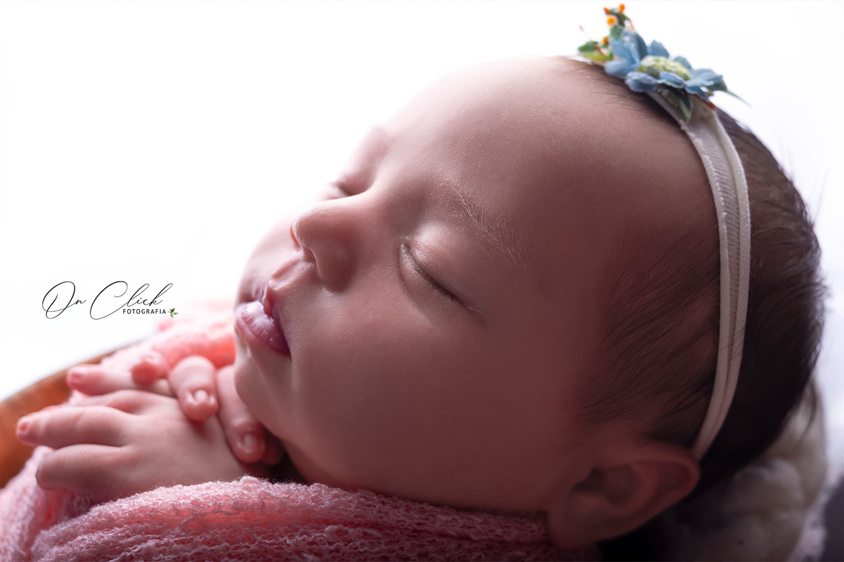 Newborn da Clara Kammer - Detalhes no baldinho - Newborn Caraguatatuba - Home Estúdio On Click Fotografia