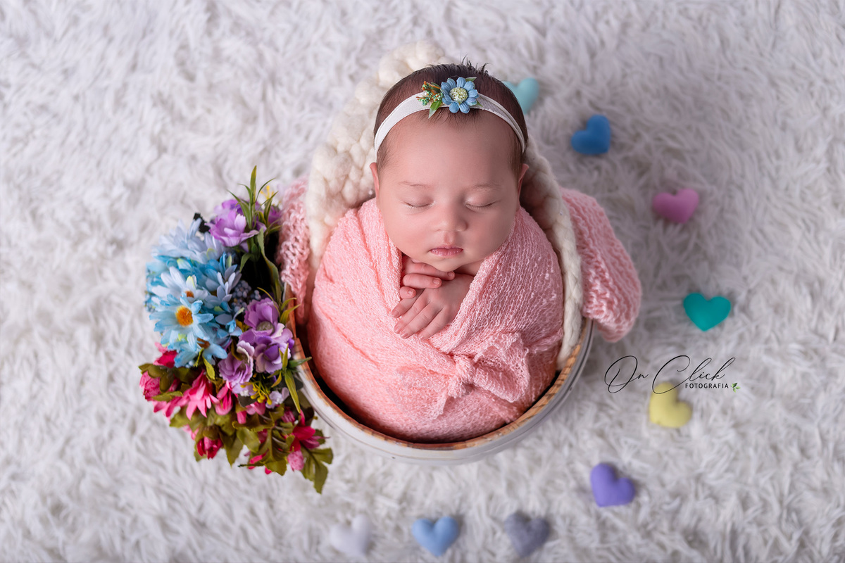 Newborn da Clara Kammer - Pose no baldinho - Newborn Caraguatatuba - Home Estúdio On Click Fotografia
