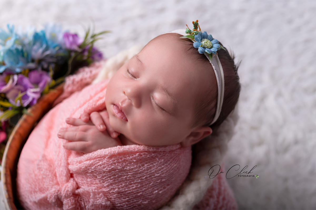 Newborn da Clara Kammer - Pose no baldinho - Newborn Caraguatatuba - Home Estúdio On Click Fotografia