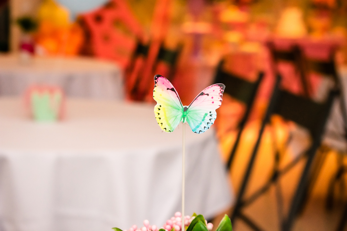 Cobertura Fotográfica com decoração Jardim das Borboletas | 7 anos da Olívia | Clube Naval Piraquê | Rio de Janeiro