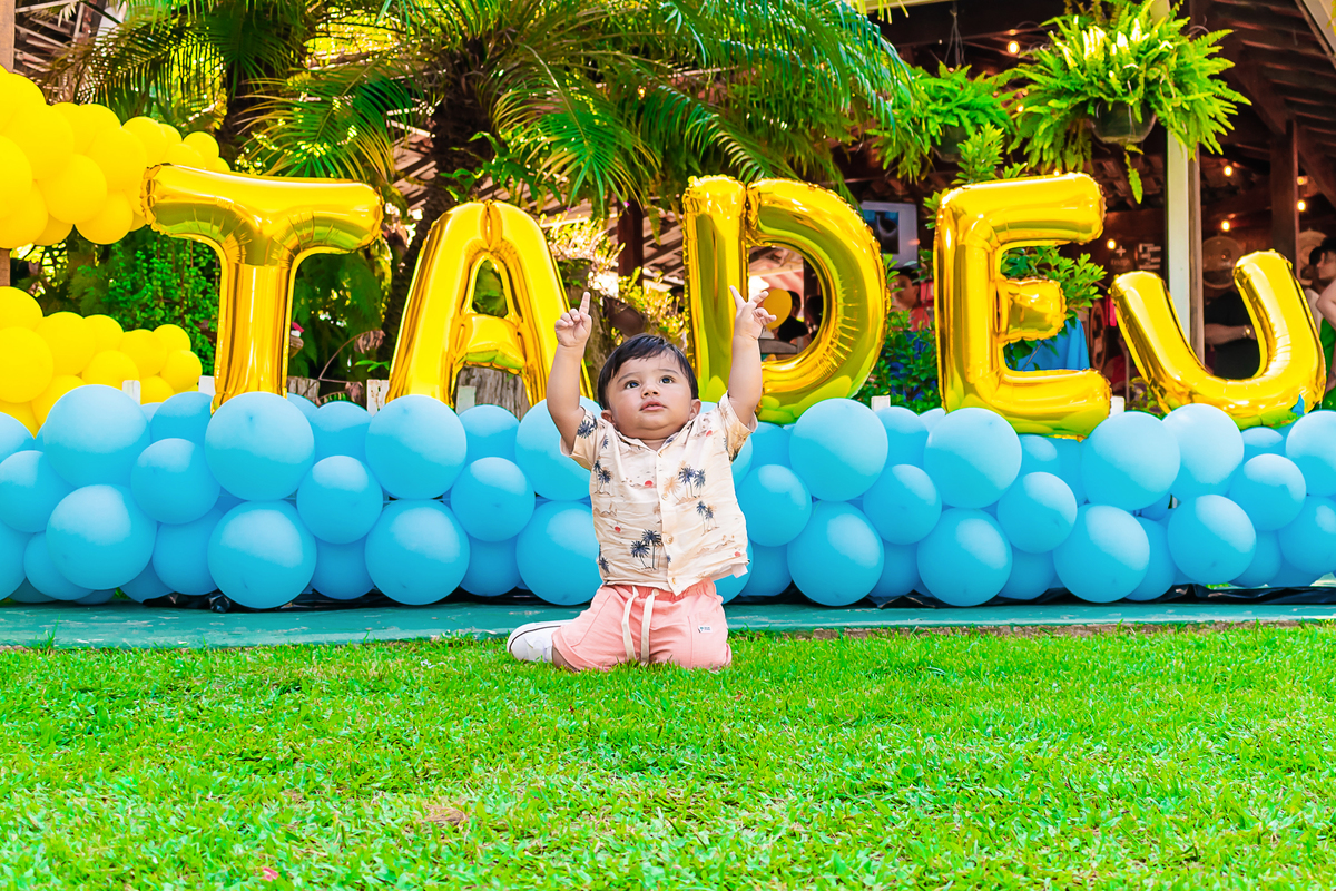 Festa Infantil - Tardezinha do Tadeu: 1 ano - Meu pé de Jacarandá - Jacarepaguá, Rio de Janeiro