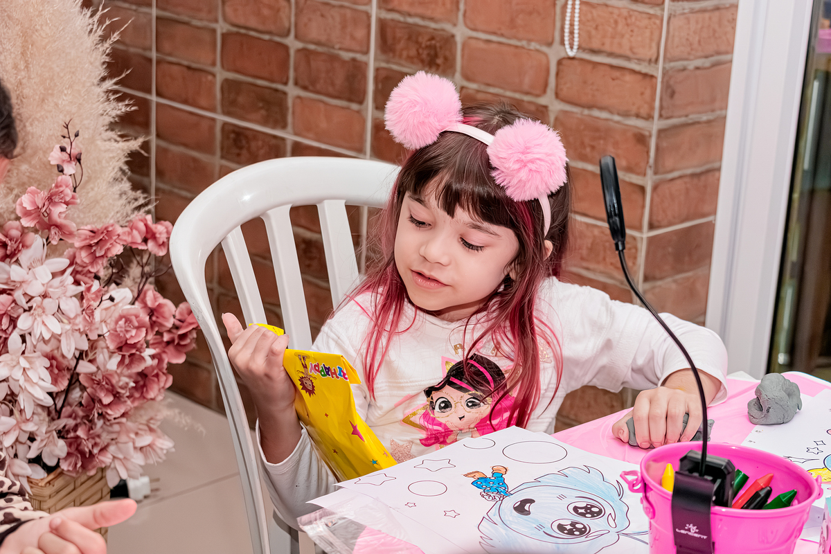 festa infantil, luluca, brincadeiras, animafest, decoração, fotografo, meier, rio de janeiro, rj, casa de festa