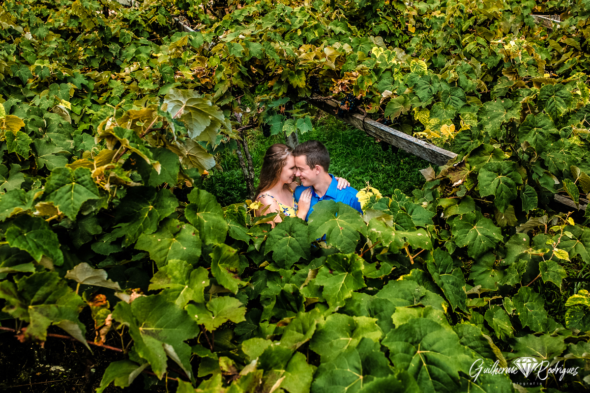 Fotógrafo de casamento em Brusque Guilherme Rodrigues, foto pré wedding no sítio, foto casal cachoeira, foto casal, foto noivos, Ensaio Pré Wedding, Ensaio pré casamento no campo, fotógrafo Brusque