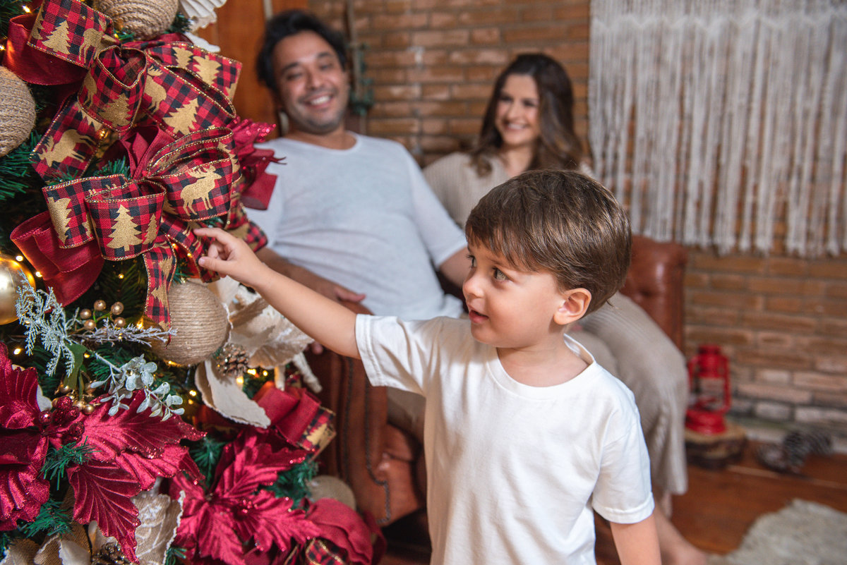 Sessão natal, bolinhas árvore de natal