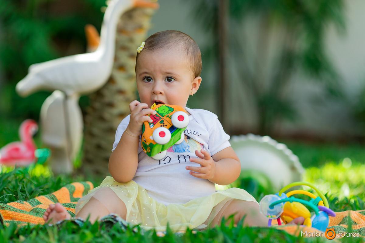 Ensaio caseiro de bebes