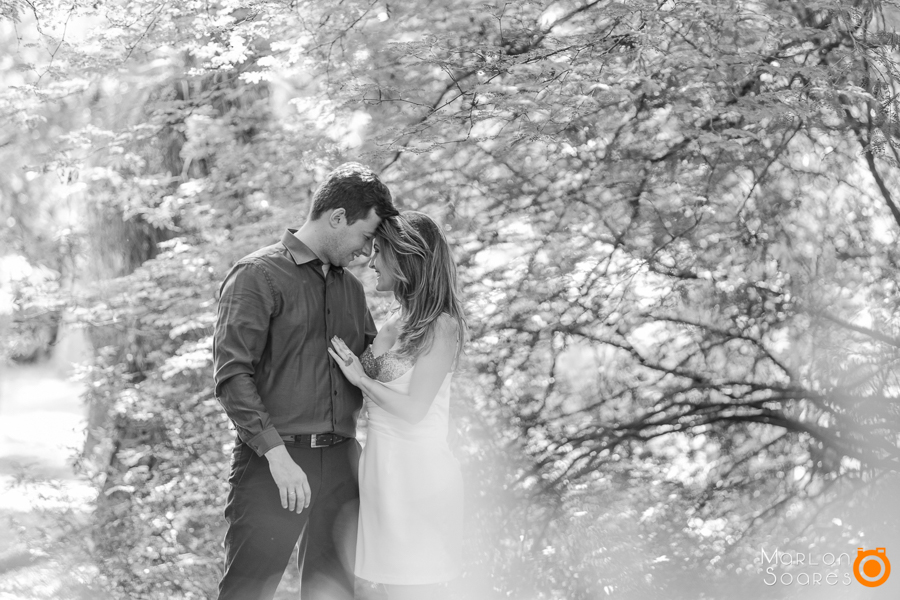 Book 15 anos, Book gestante, Ensaio gestante, Book team, Book team, Fotografo de casamento, Fotografo de casamento Porto Alegre, Fotografo de casamento Canoas, Fotografo de casamento Esteio, Fotografo de casamento, Sapucaia do sul, fotografo de casamento 