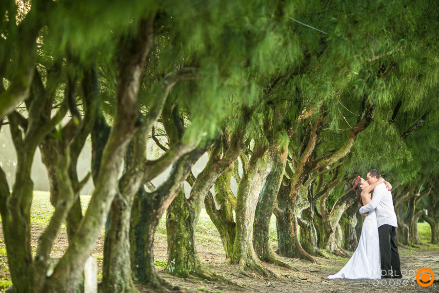 Book 15 anos, Book gestante, Ensaio gestante, Book team, Book team, Fotografo de casamento, Fotografo de casamento Porto Alegre, Fotografo de casamento Canoas, Fotografo de casamento Esteio, Fotografo de casamento, Sapucaia do sul, fotografo de casamento 