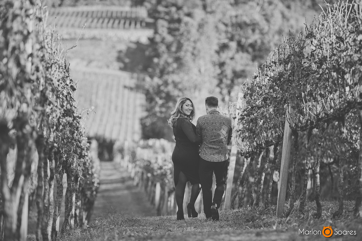 Passeando no parreiral