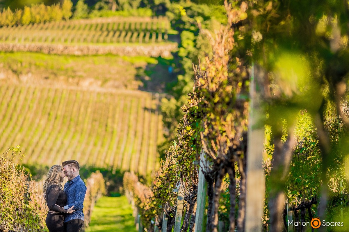 Fotografia no parreiral