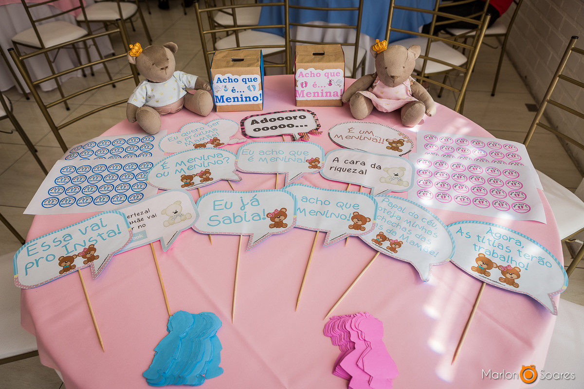 plaquinhas será menino, será menina