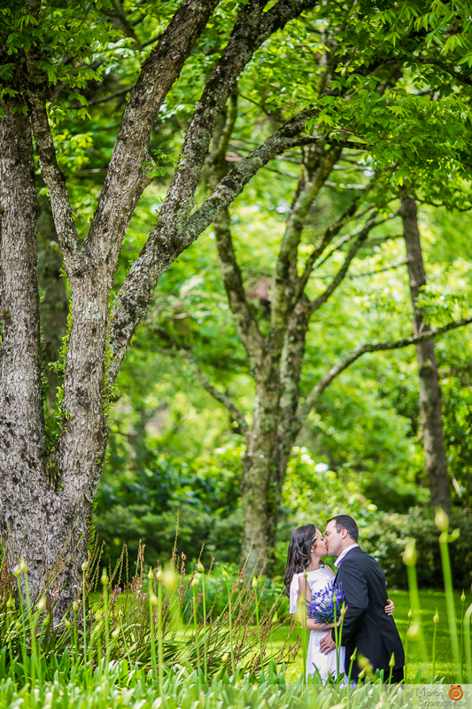 Book 15 anos, Book gestante, Ensaio gestante, Book team, Book team, Fotografo de casamento, Fotografo de casamento Porto Alegre, Fotografo de casamento Canoas, Fotografo de casamento Esteio, Fotografo de casamento, Sapucaia do sul, fotografo de casamento 