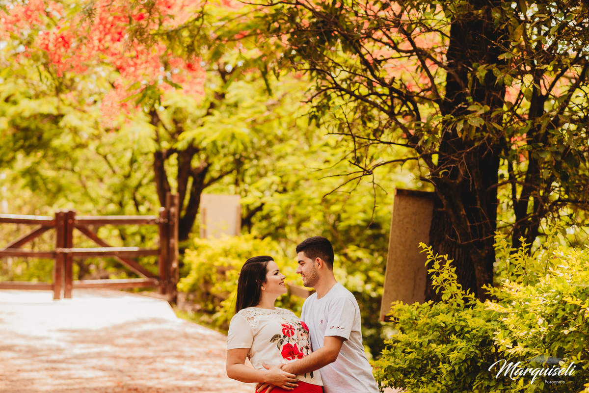 Ribeirão Claro - PR