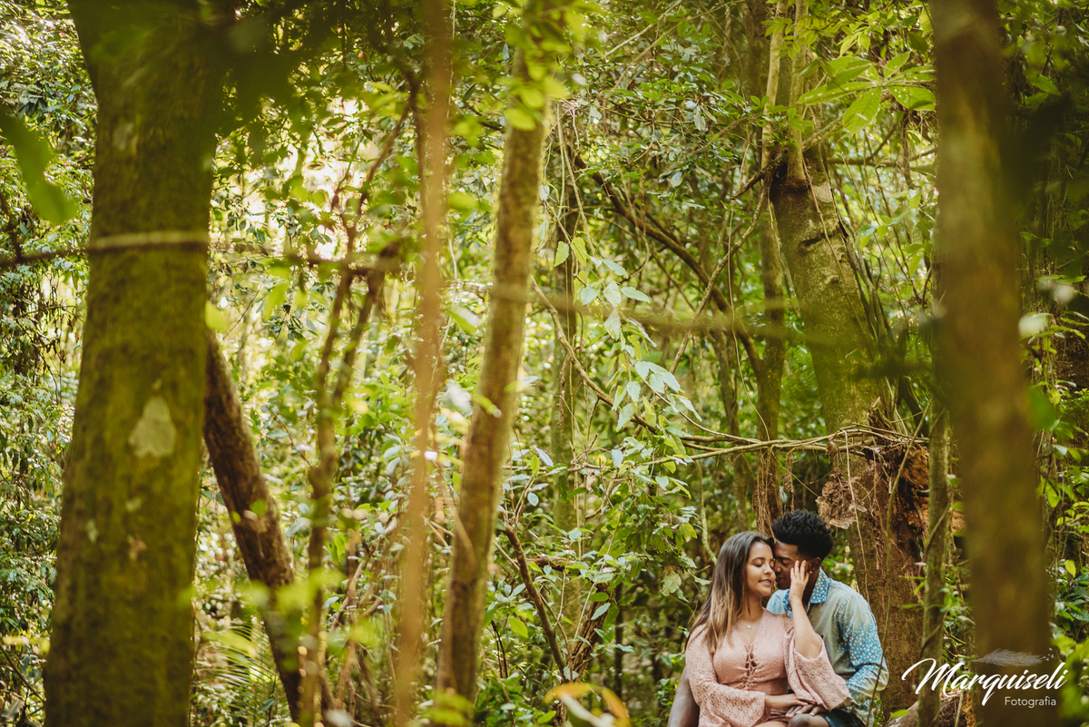 Ribeirão Claro - PR