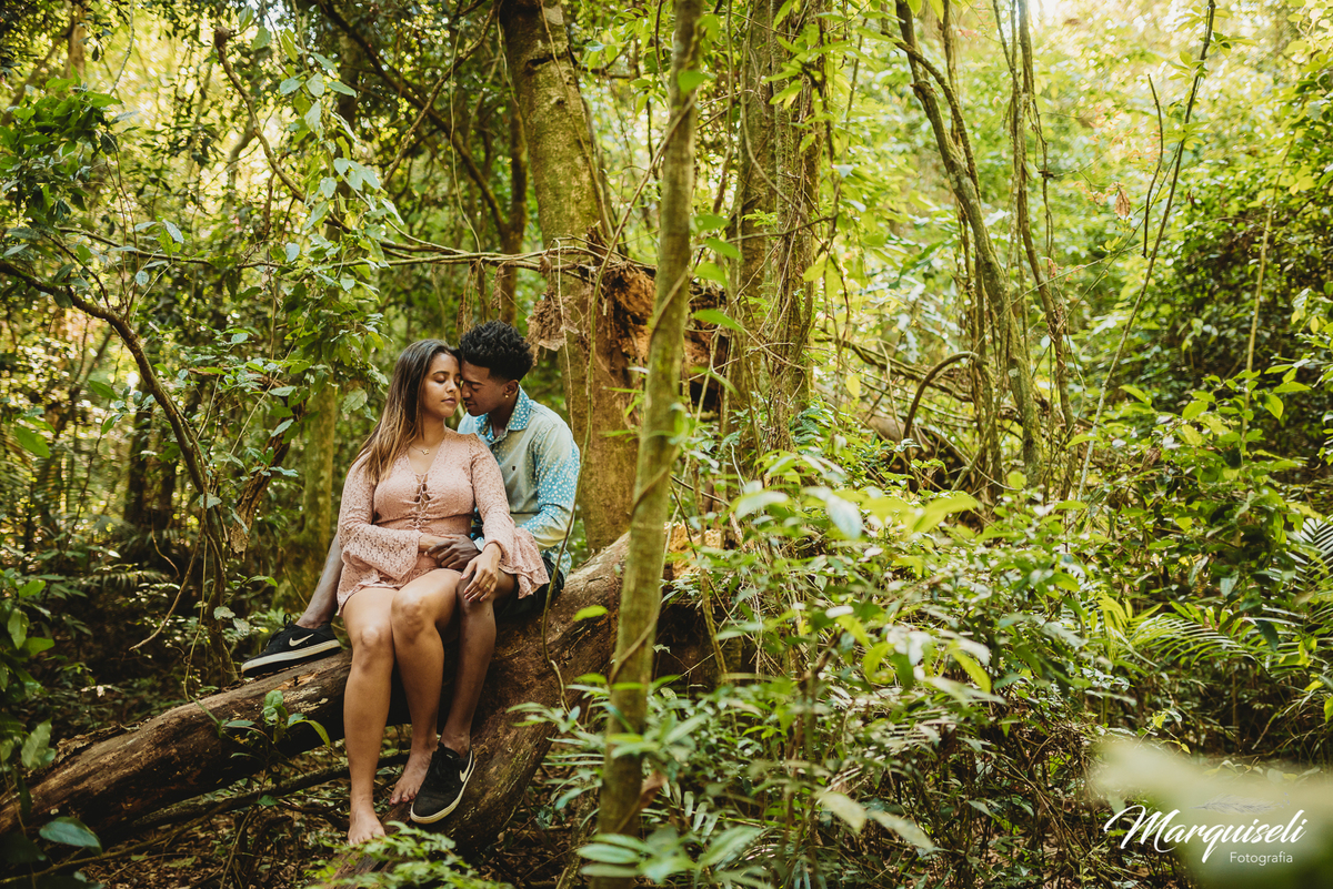 Ribeirão Claro - PR