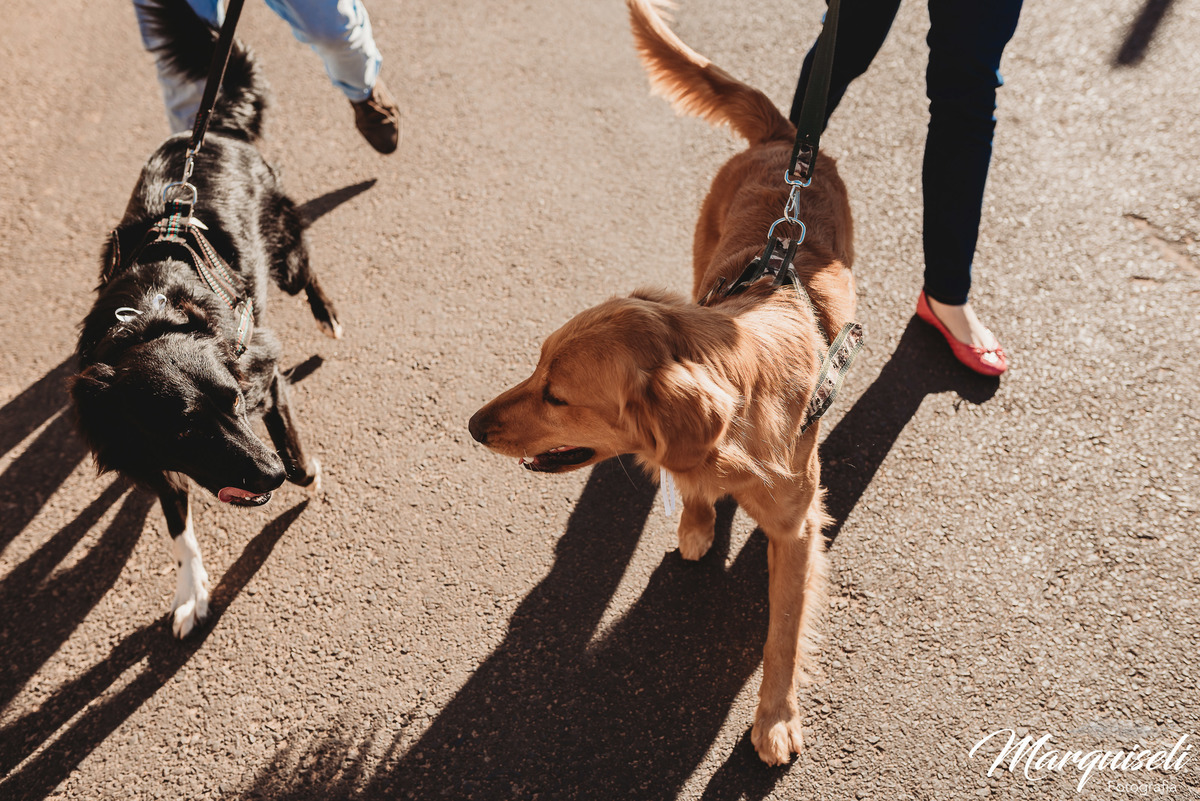 #londrina#londrinafotografo#fotografoemlondrina #fotografaemlondrina #fotografolondrina #casandoemlondrina#londrinacasamentos#eventoslondrina #noivalondrina #casamentosnacidadelondrina 