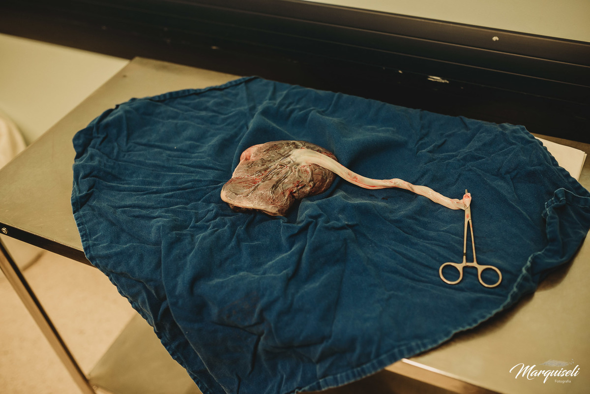 #londrina #londrinafotografo #fotografoemlondrina #fotografaemlondrina #fotografolondrina #casandoemlondrina #londrinacasamentos #eventoslondrina #noivalondrina #casamentosnacidadelondrina #presidenteprudente #casamentospresidenteprudente