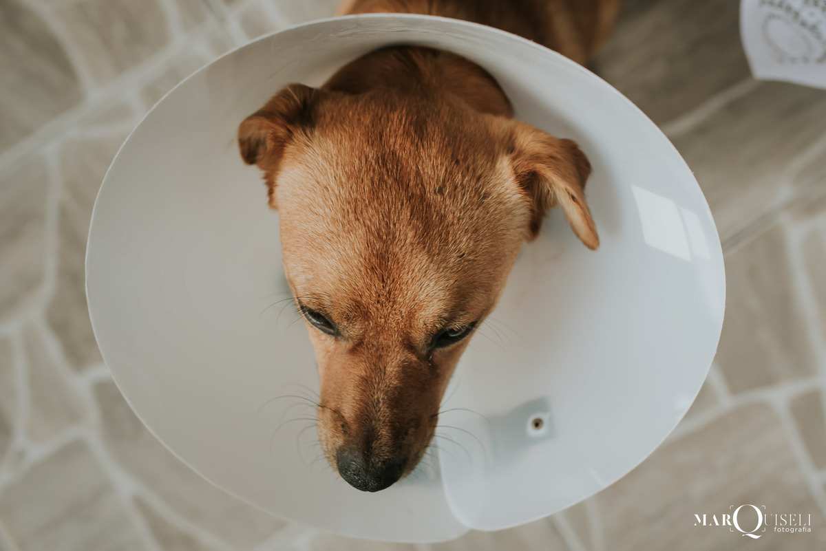 #casamento #wedding #noiva #noivos #voucasar #inspiracao #fotosdecasal #noivei #prewedding #fotodecasamento #sounoiva #noivos2021 #inspiracaodecasamento #precasamento #ensaio #ensaiodecasal #esession