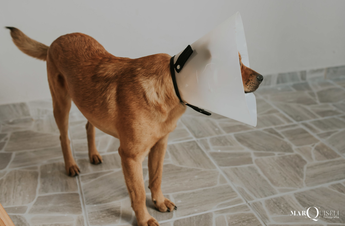 #casamento #wedding #noiva #noivos #voucasar #inspiracao #fotosdecasal #noivei #prewedding #fotodecasamento #sounoiva #noivos2021 #inspiracaodecasamento #precasamento #ensaio #ensaiodecasal #esession