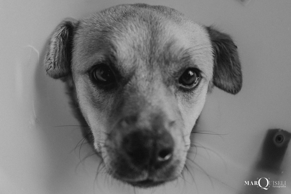 #casamento #wedding #noiva #noivos #voucasar #inspiracao #fotosdecasal #noivei #prewedding #fotodecasamento #sounoiva #noivos2021 #inspiracaodecasamento #precasamento #ensaio #ensaiodecasal #esession