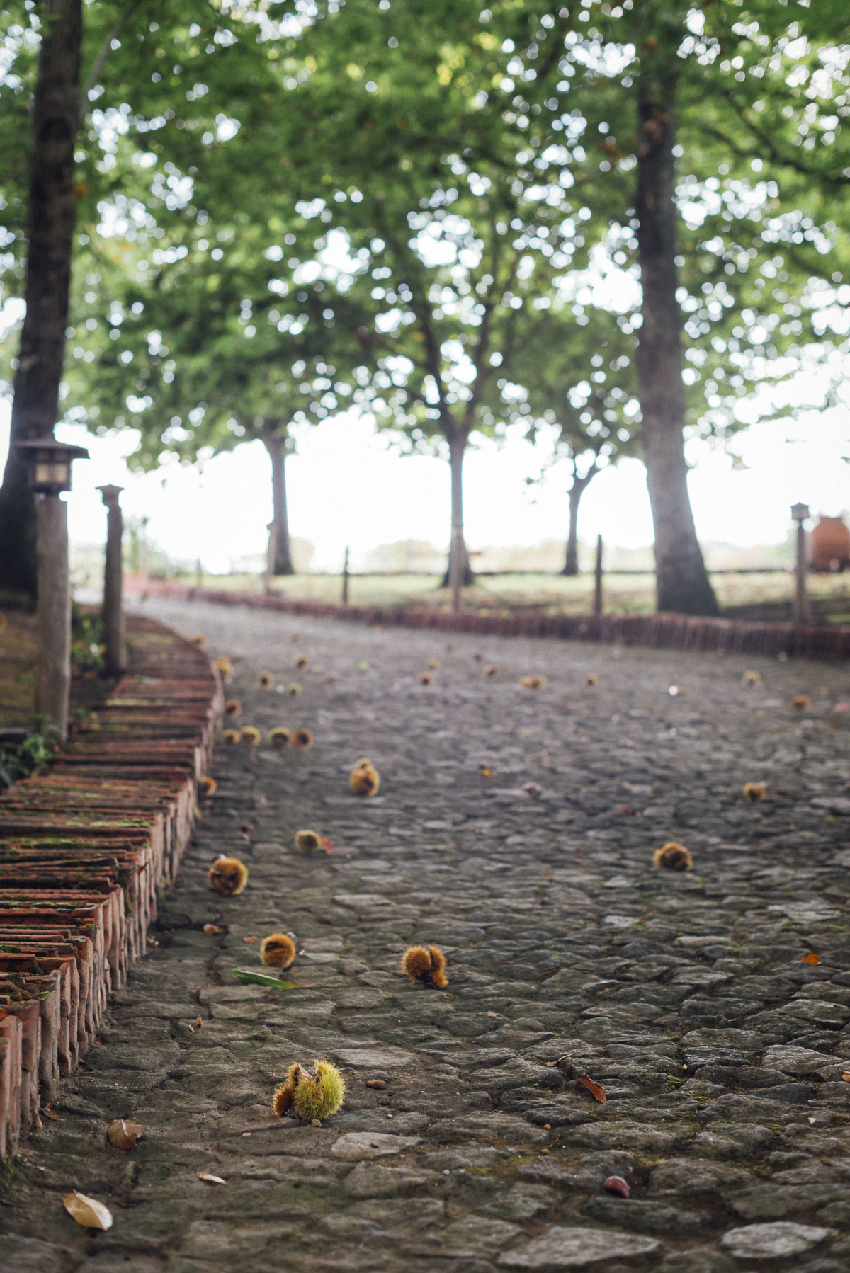 Pedro Pinto Art - Casamento Susana e Elio