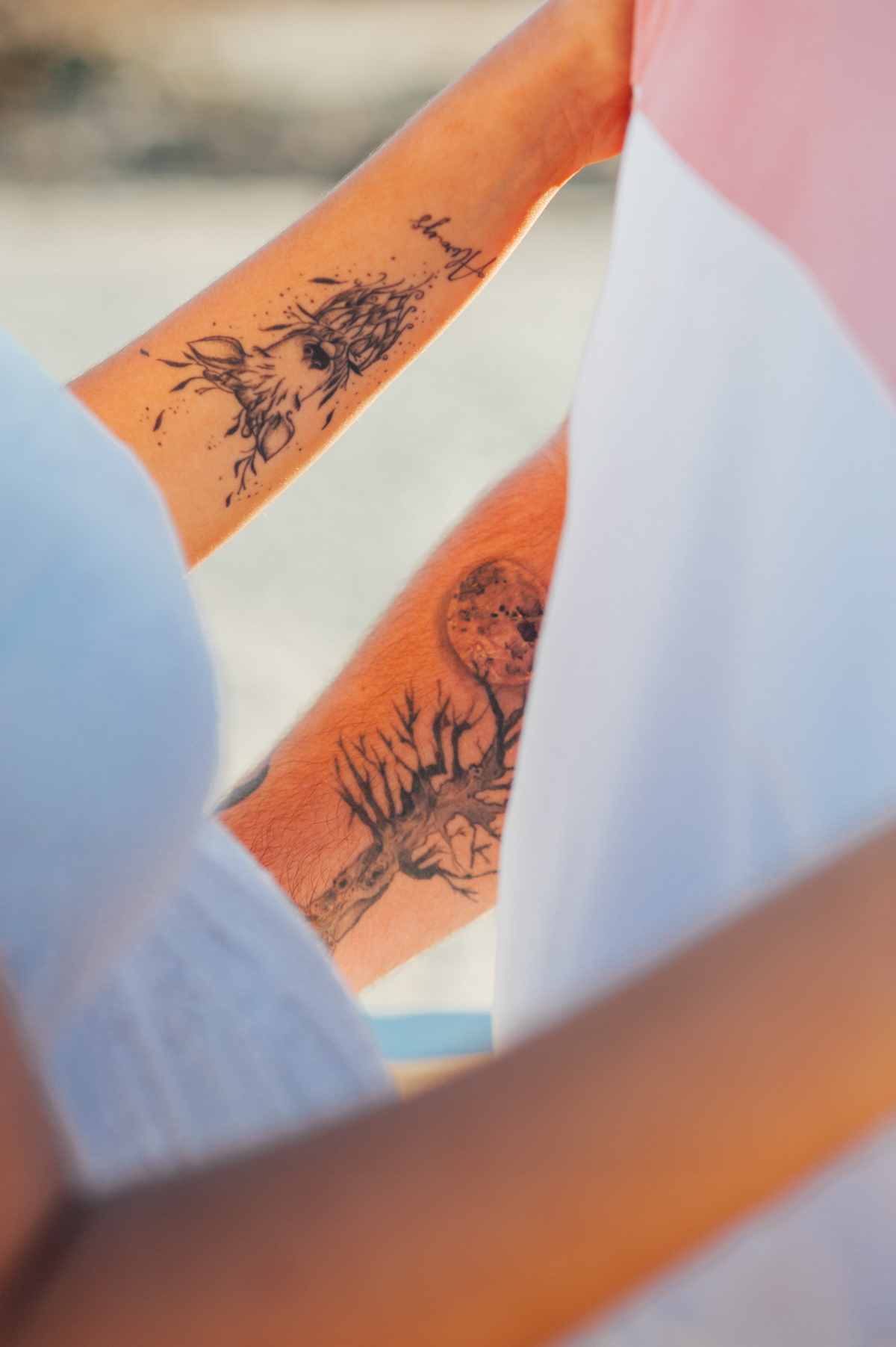 Pedro Pinto Fotografia