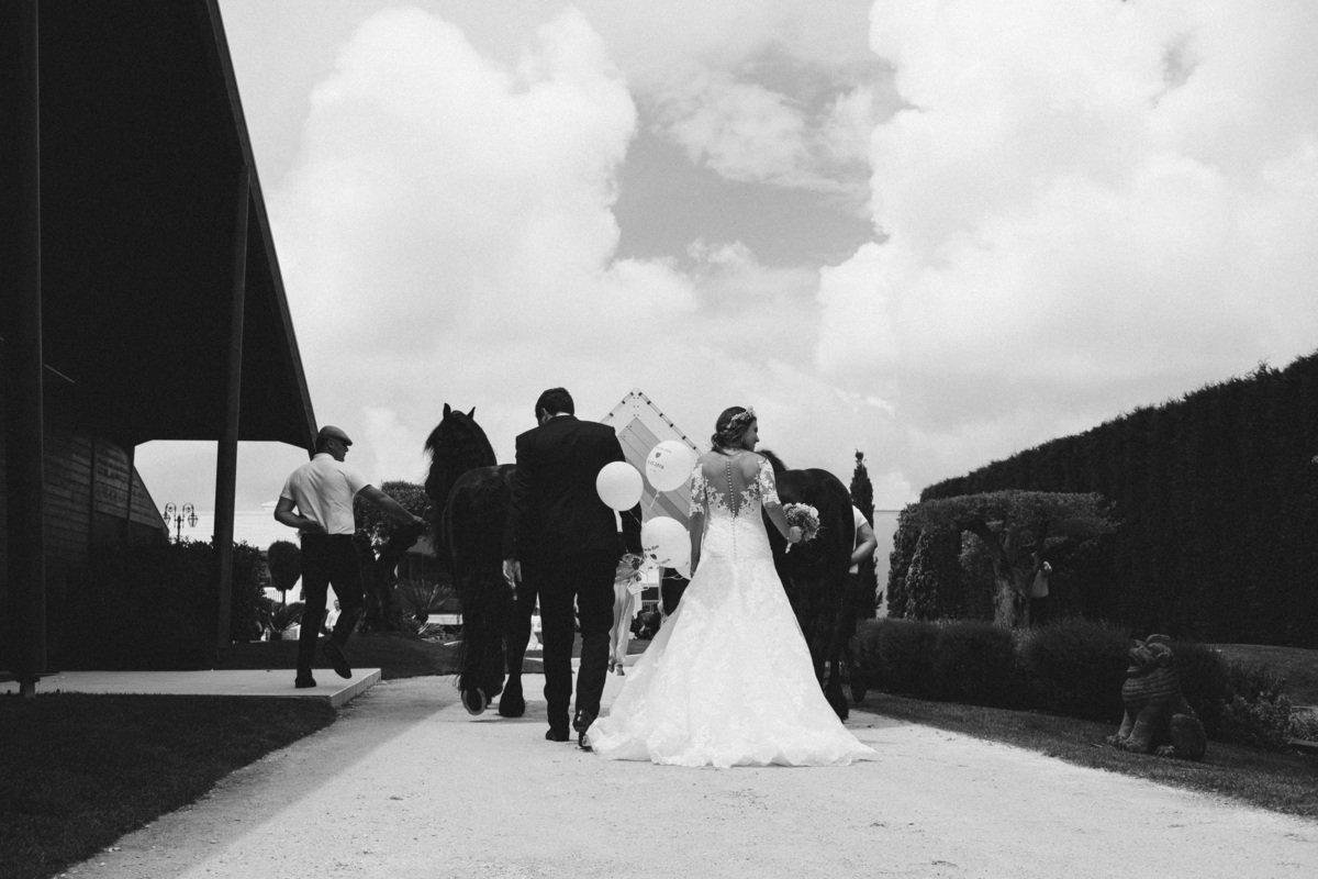 Pedro Pinto Fotografia