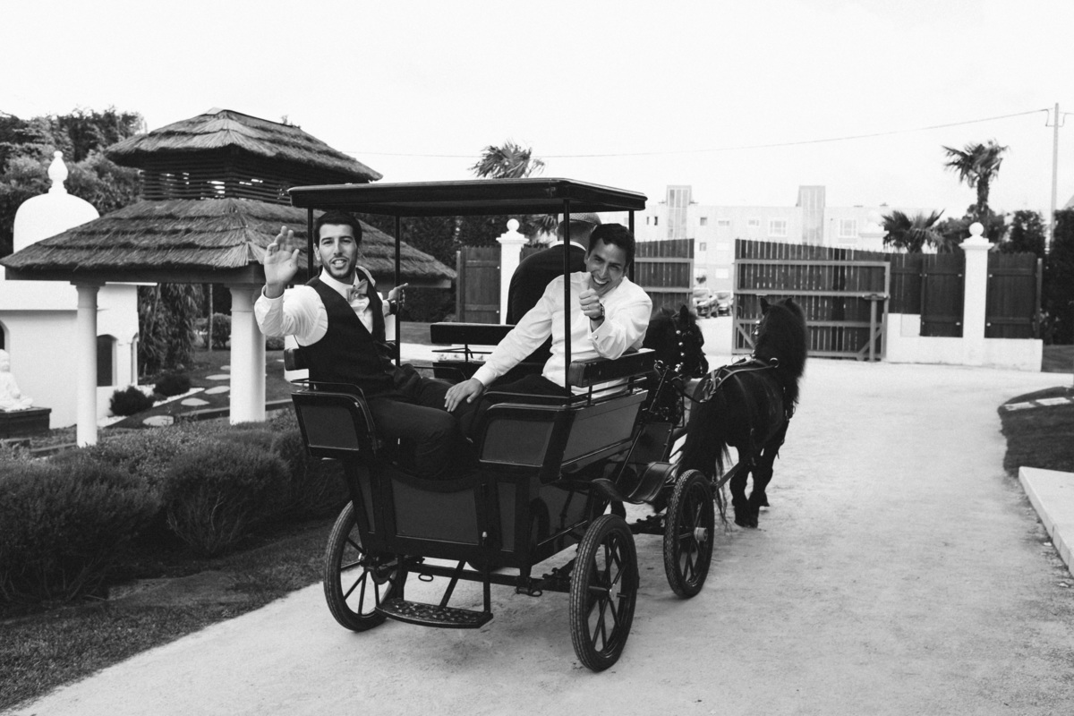 Pedro Pinto Fotografia