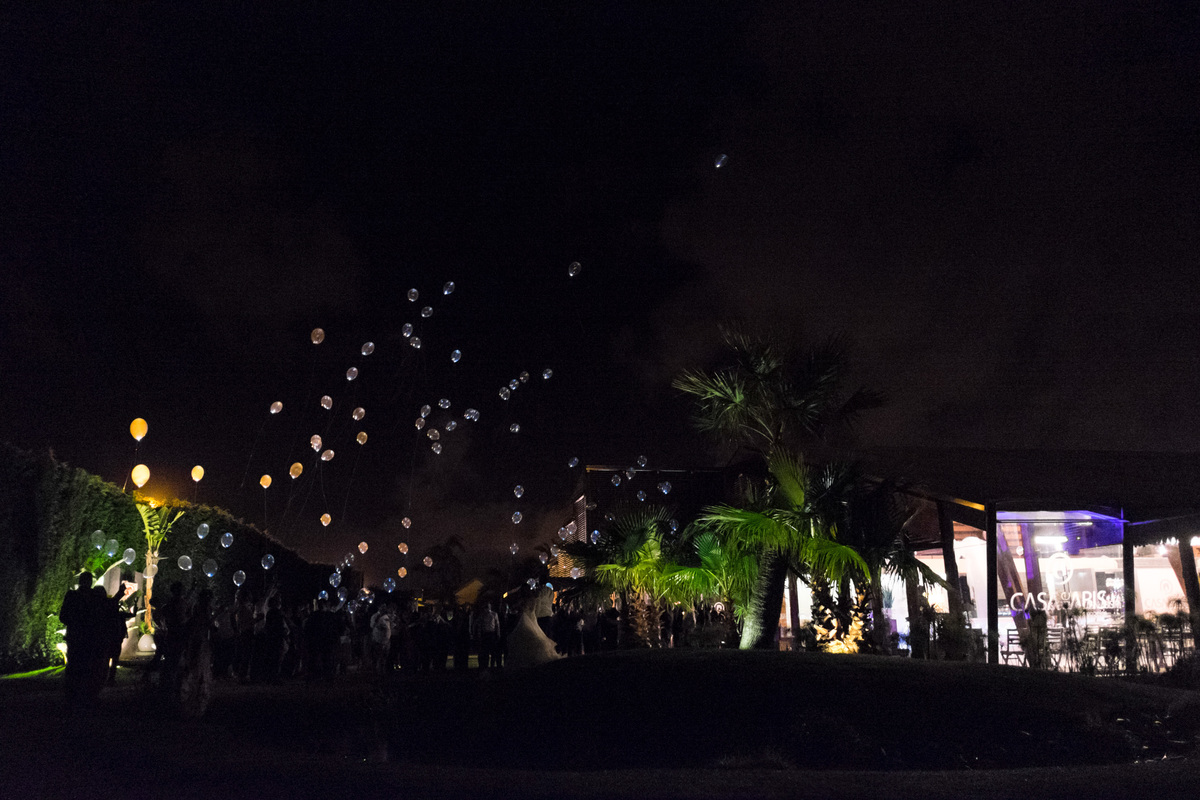 Pedro Pinto Fotografia