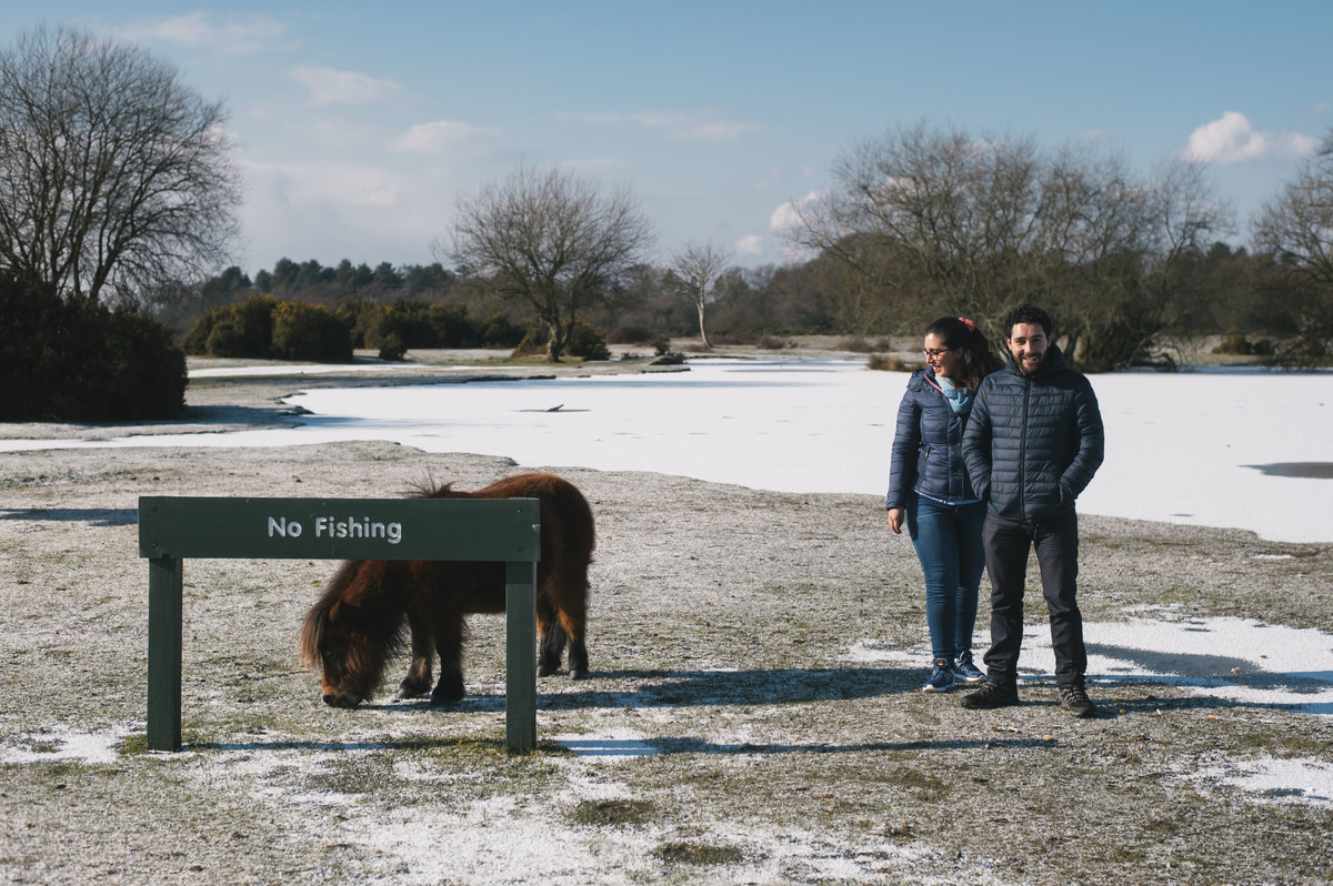 Pedro Pinto Fotografia